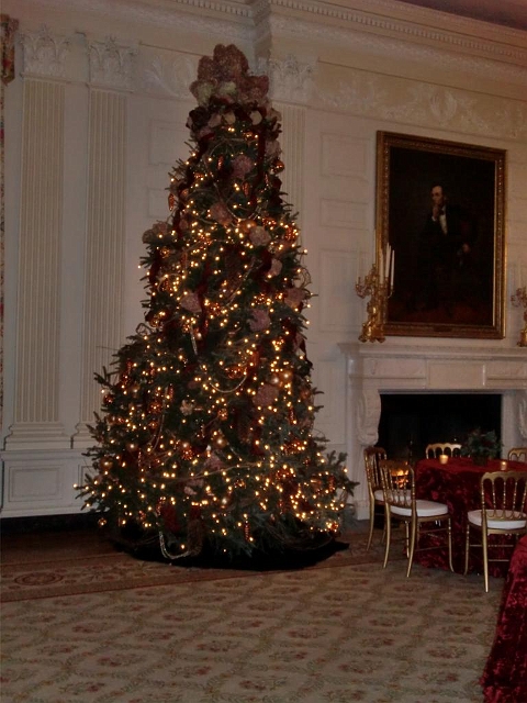 White House Christmas 2009 060.jpg